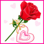 pic for love rose